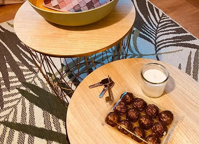 Cosy Apartament Gannat